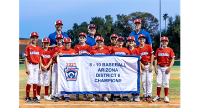 ARLL Baseball (8-9-10) District All-Star Champs